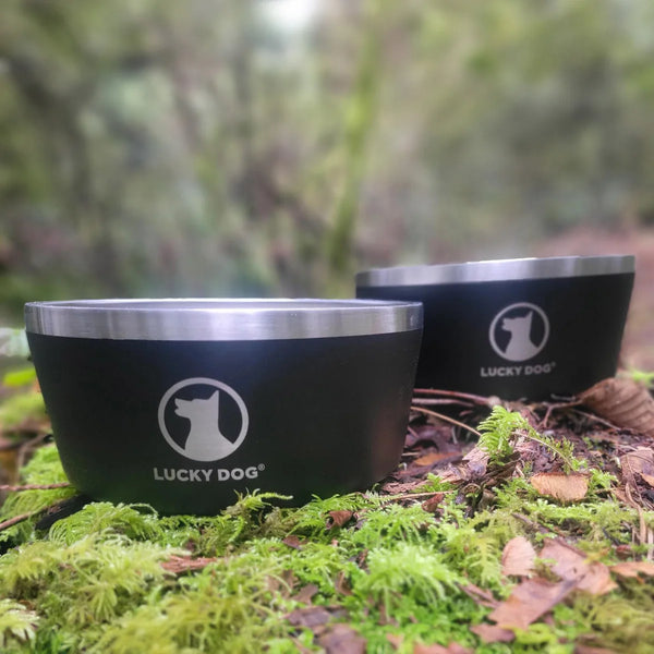 Lucky Dog Indulge 5, Double Wall 5 Cup Stainless Steel Dog Bowl, 2-pack