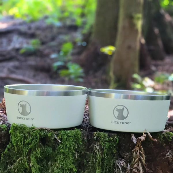 Lucky Dog Indulge 5, Double Wall 5 Cup Stainless Steel Dog Bowl, 2-pack