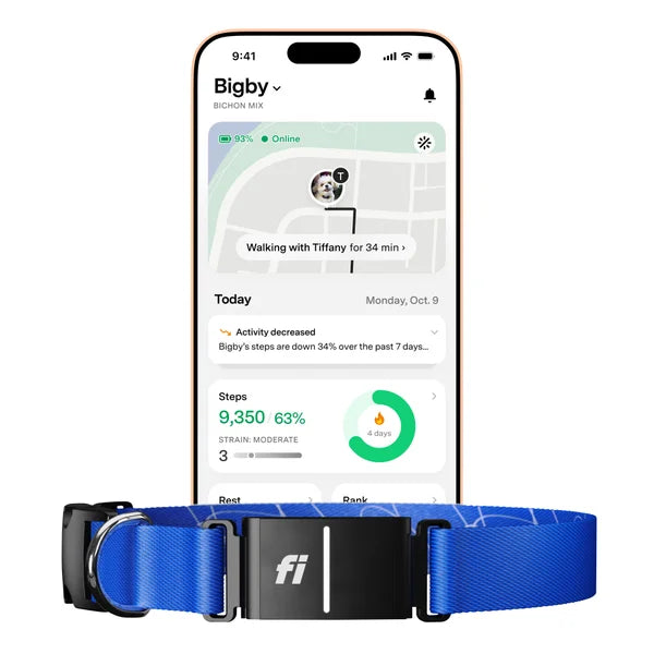 Fi Series 3+ Smart Dog Collar - GPS Tracker and Activity & Health Monitor, 14-Month Subscription