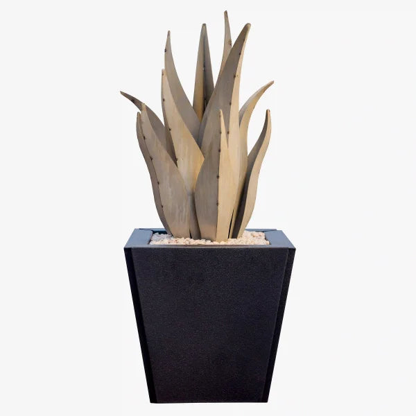 Snake Agave with Planter by Desert Steel