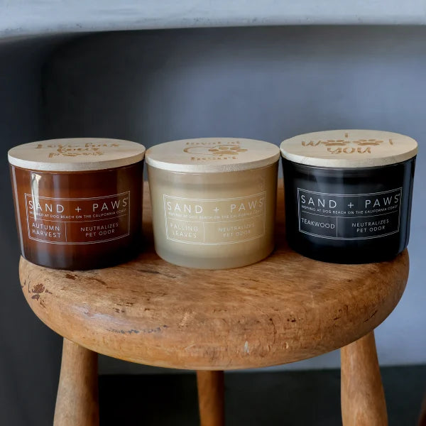 Sand + Paws Set of 3 12oz Candles with Carved Wood Lids