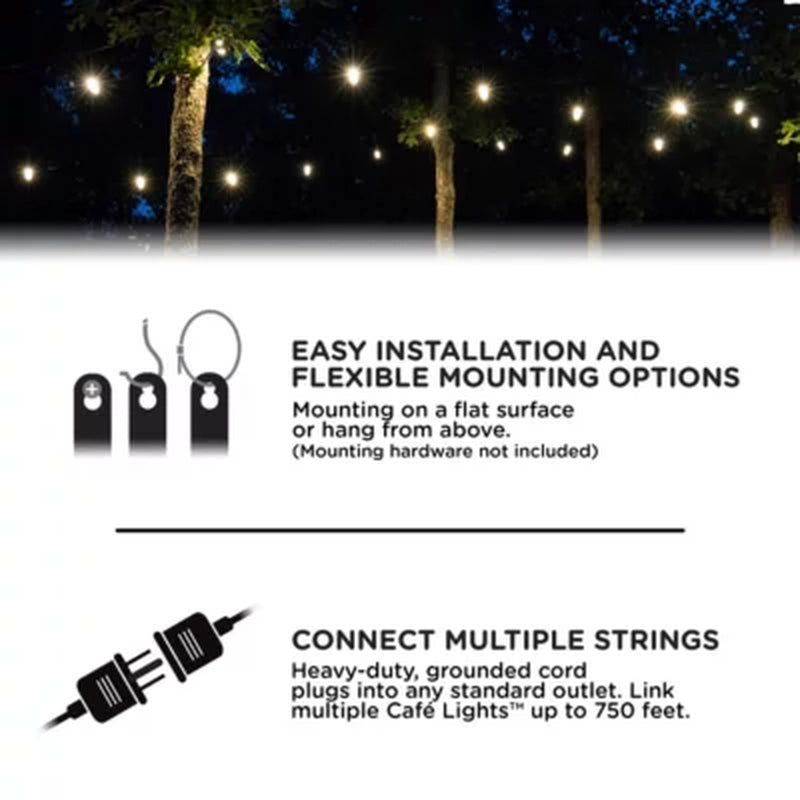 Ecoscapes 36' LED Shatterproof Cafe String Lights (18 Bulbs) by Enbrighten