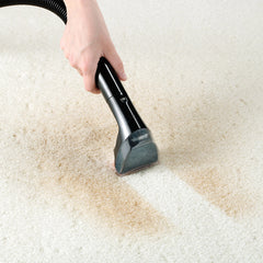Proheat 2X Revolution Pet Pro Carpet Cleaner
