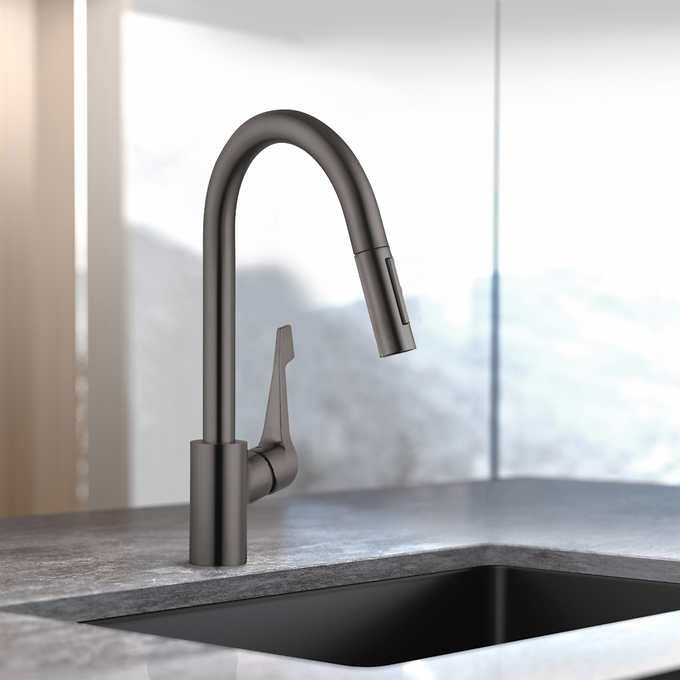 Hansgrohe Cento Kitchen Faucet Rjp