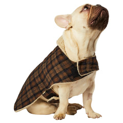 Hotel Doggy Melton Blanket Coat